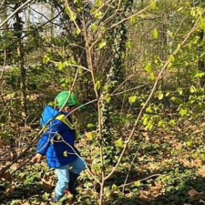 Enfant qui se balade en foret