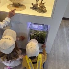 Rolle sortie au musée 